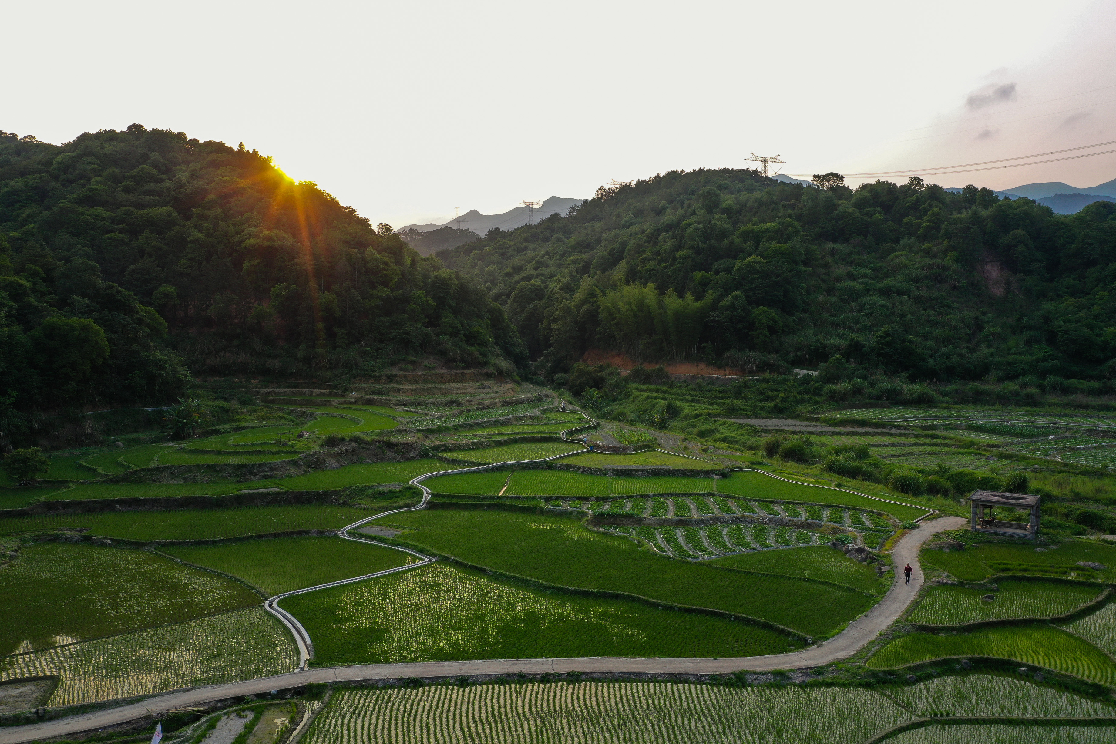 洋葱集团凝聚微光,携手绿芽共促乡村振兴-onion global 洋葱集团
